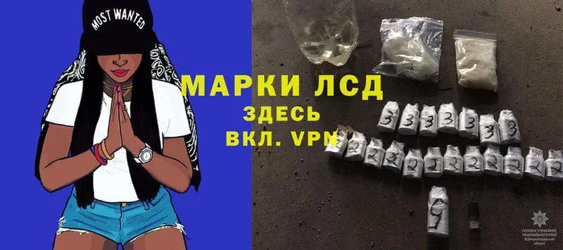 мега ссылки  Волхов  ЛСД экстази ecstasy  наркота 